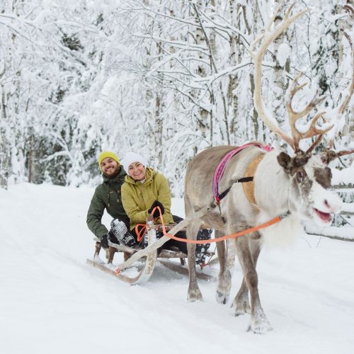 Traîneau à rennes, Laponie, Finlande 2026 2027