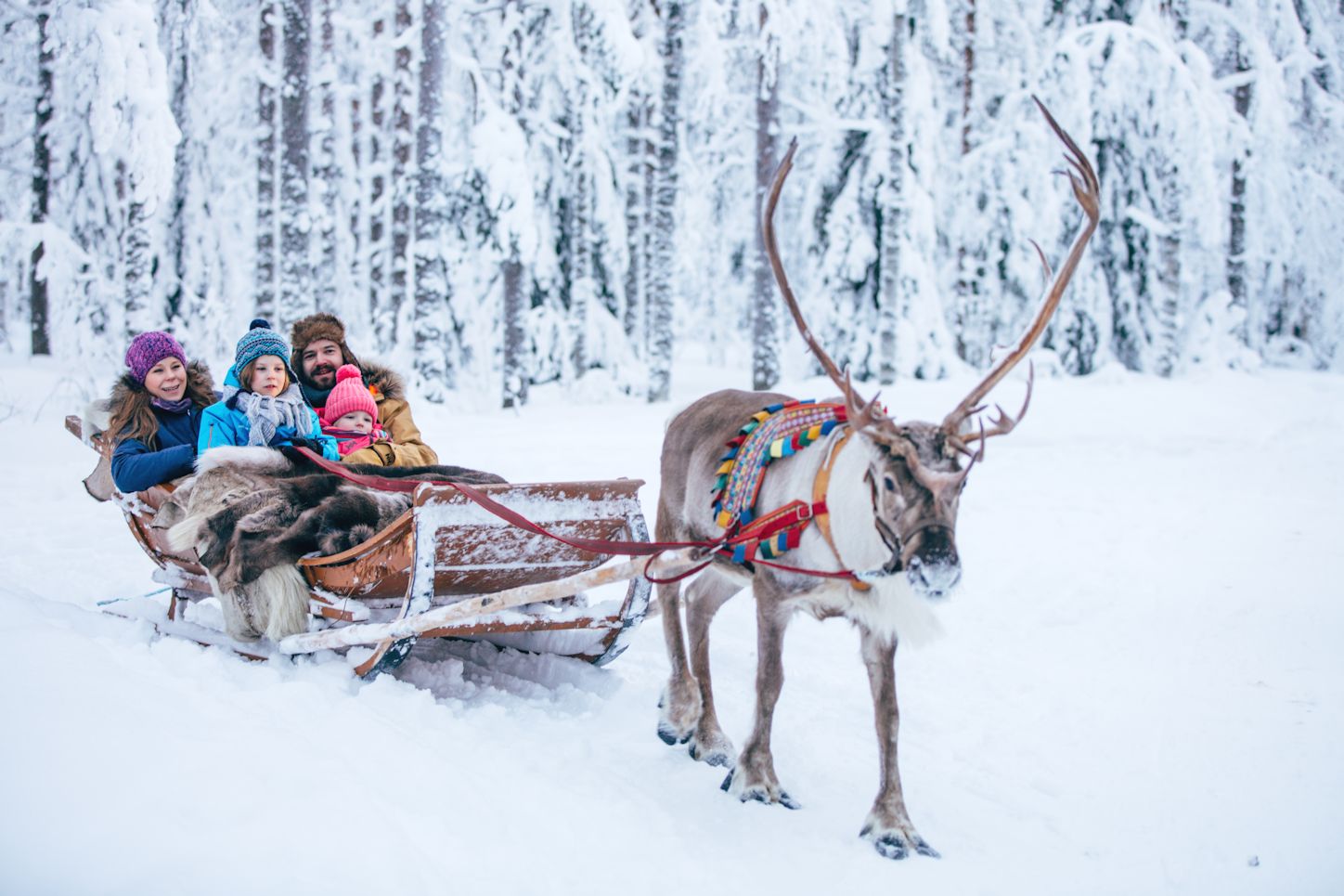 Février 2020, Laponie, Village du Père Noël | Scandinavia